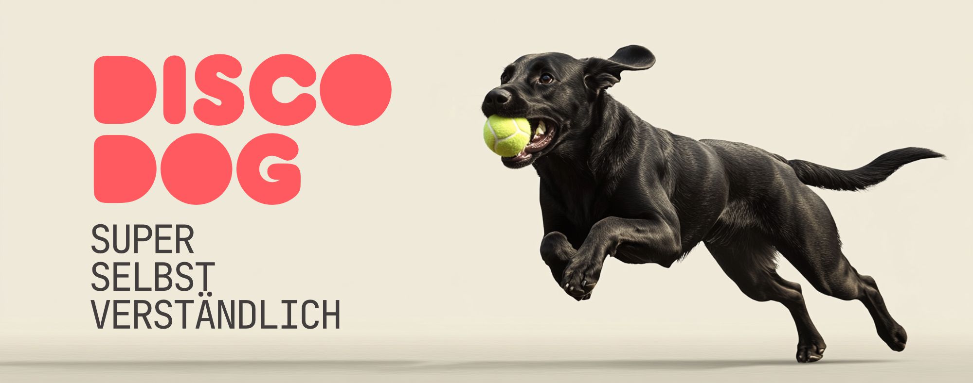 Discodog Header